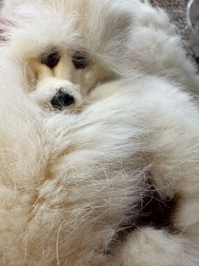 Vintage White Rabbit Plush Fur Muff, Collar & Hat Set